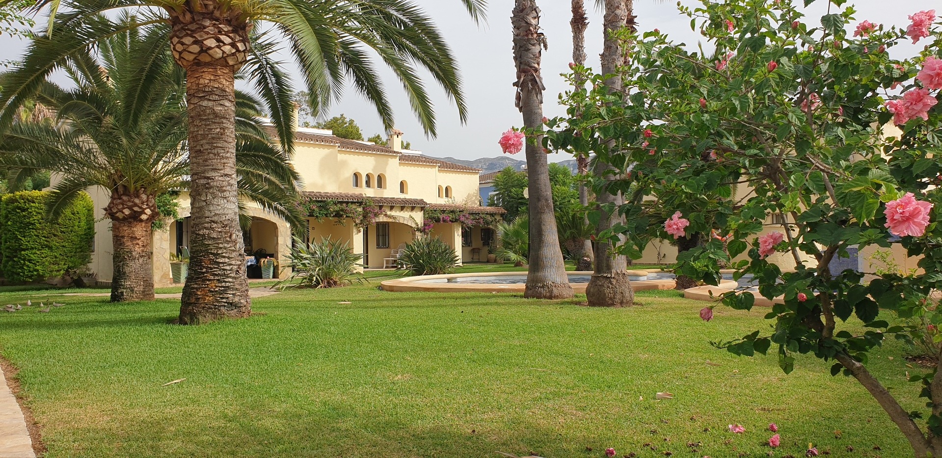 Außenansicht der Casa jardin del sol mit Pool